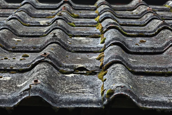 Roof tiles texture — Stock Photo, Image