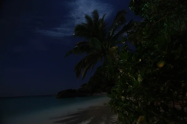 Nocny krajobraz zatoki — Zdjęcie stockowe