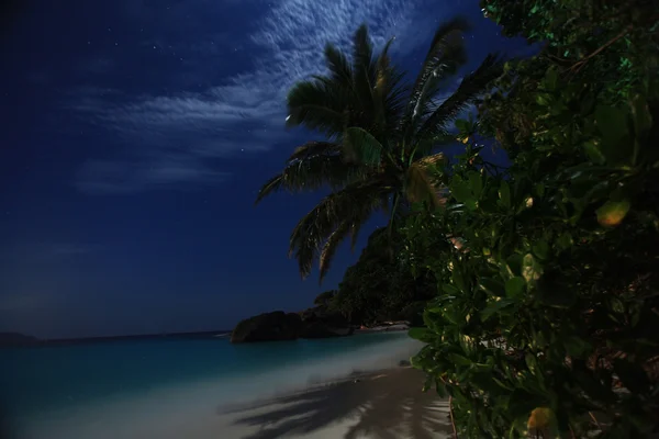 Night landscape bay — Stock Photo, Image