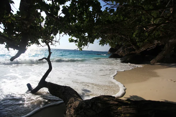 Selva em uma bela ilha — Fotografia de Stock