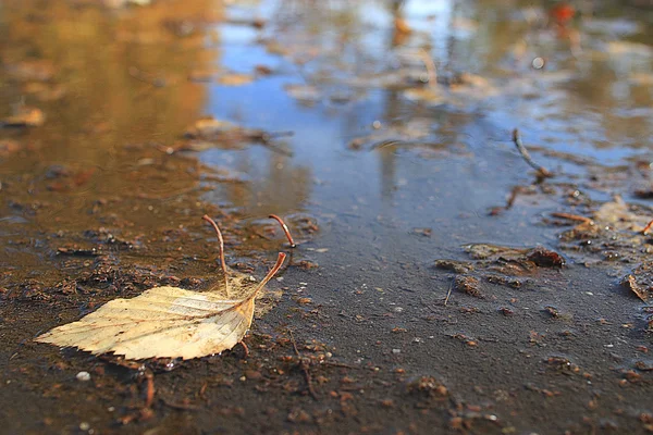 Herbst im Hintergrund — Stockfoto