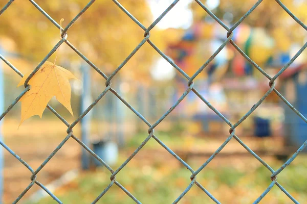 Kovový rošt plot a podzimní list — Stock fotografie