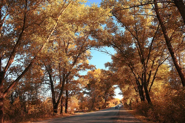 在秋季景观路 — 图库照片