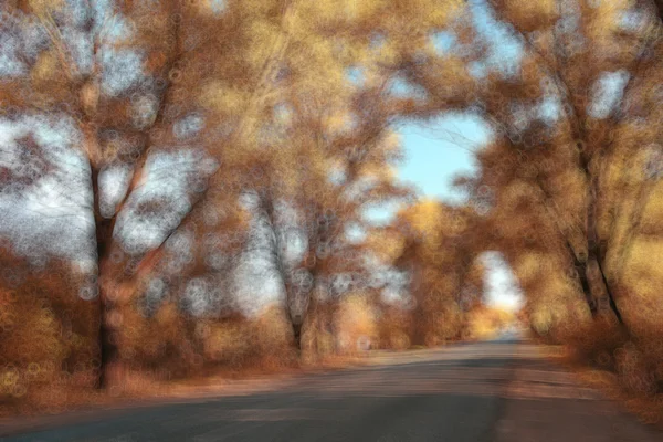 Blurred autumn park — Stock Photo, Image