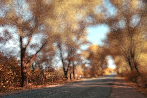 Blurred autumn park — Stock Photo, Image