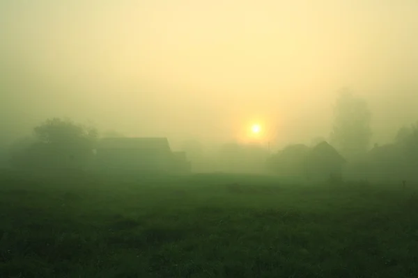 Brouillard d'été dans le village — Photo