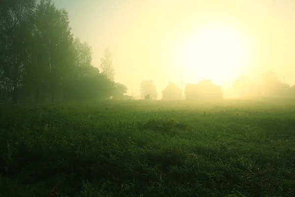 Ceață de vară în sat — Fotografie, imagine de stoc