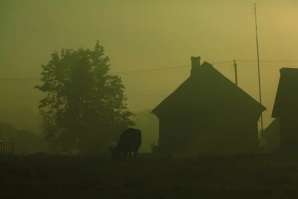 Niebla de verano en el pueblo —  Fotos de Stock