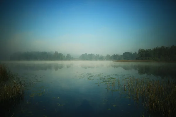 Zomer mist in het dorp — Stockfoto