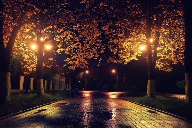 Autumn night park
