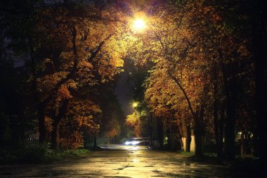 sonbahar gece manzarası