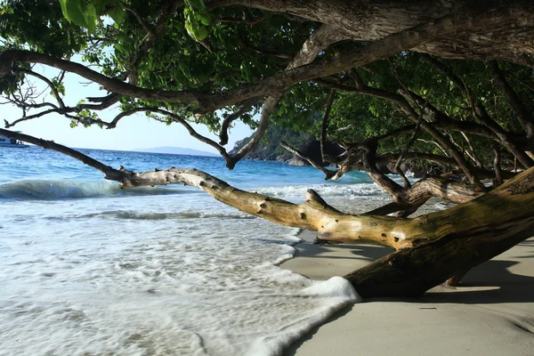 Andy beach paradise — Stock Photo, Image