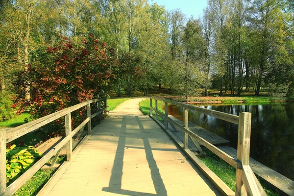 City park landscape — Stock Photo, Image