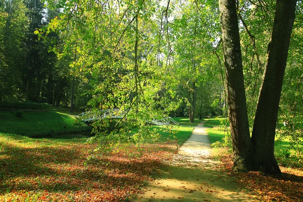 Paysage forestier d'automne — Photo