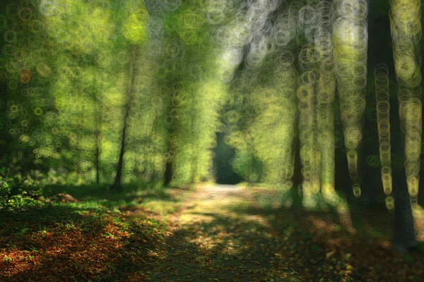 夏の森にテクスチャがぼやけています。 — ストック写真