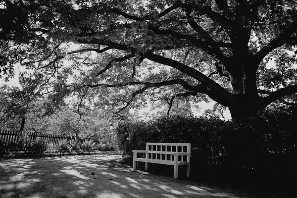 Parkbank im Park — Stockfoto