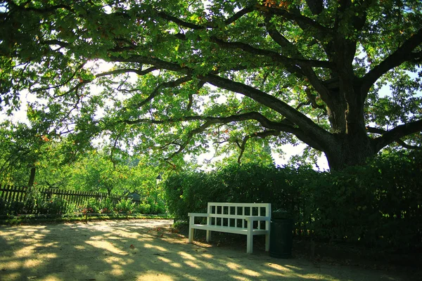 Park bench at park — Stock Photo, Image