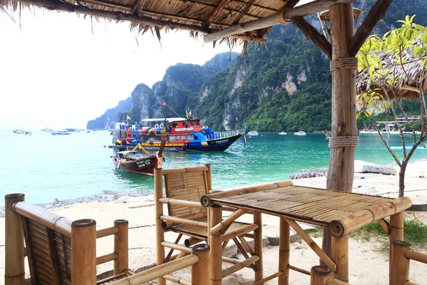 Strandbambus im Inneren — Stockfoto