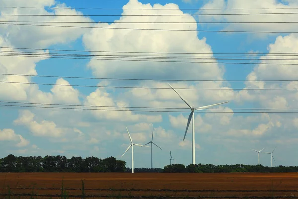 Linie energetyczne i wiatraki — Zdjęcie stockowe