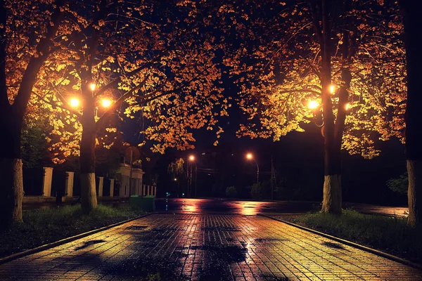 Herbstlicher Nachtpark — Stockfoto