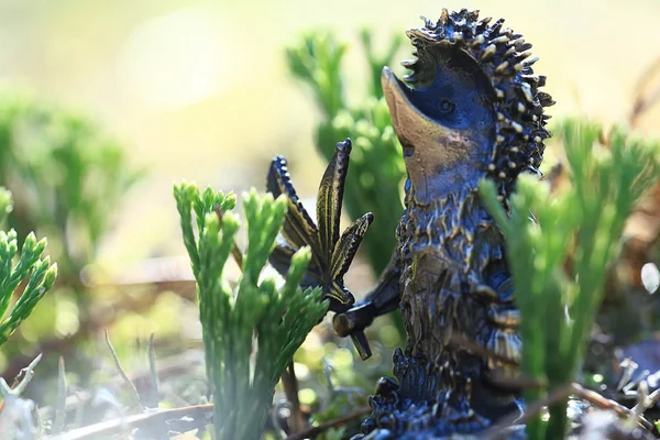 Macro hedgehog toy — Stock Photo, Image