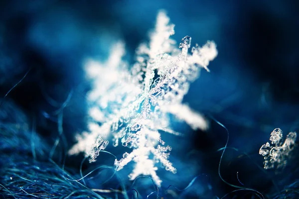 Macro snowflake on wool — Stock Photo, Image