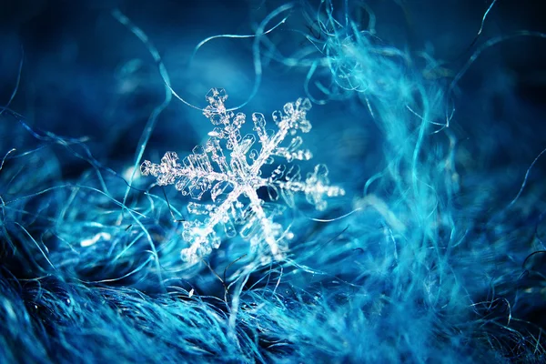 Macro snowflake on wool — Stock Photo, Image