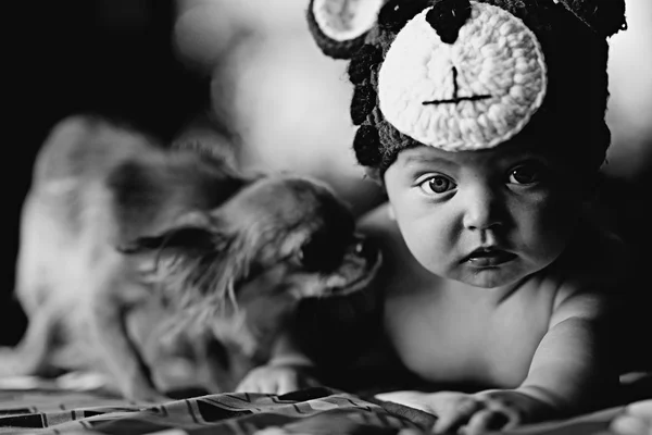 Bebek çocuk ve köpek — Stok fotoğraf