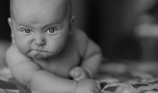 Grave bebê popa — Fotografia de Stock