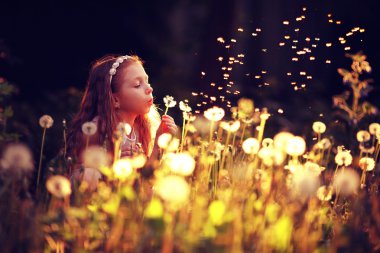 Küçük kız karahindiba çiçek üfleme