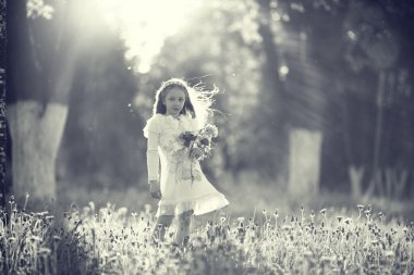 kız güneşli Park çiçekler toplar