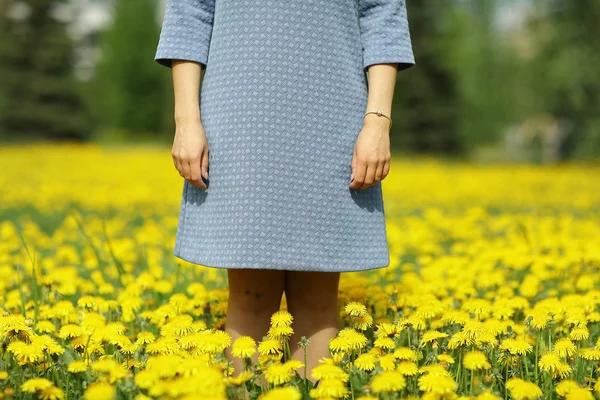 Woman in spring meadow — Stock Photo, Image