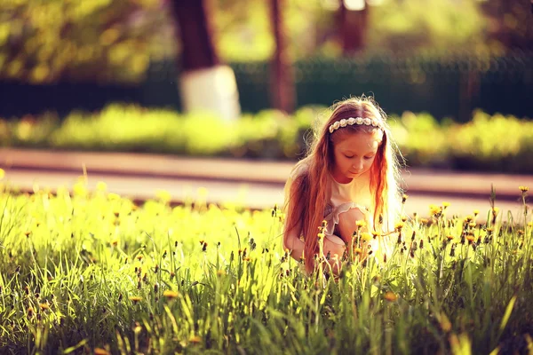 Fetiță culegând păpădie — Fotografie, imagine de stoc