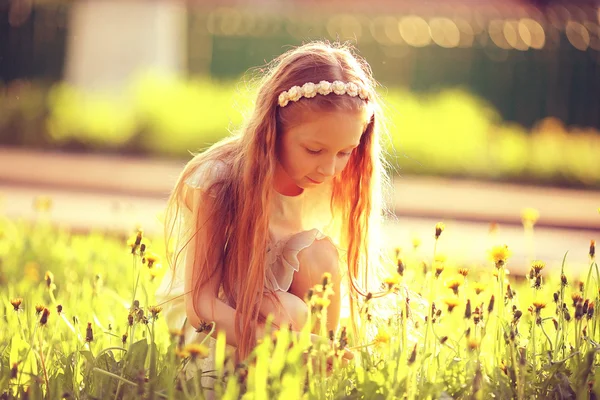Маленькая девочка собирает одуванчики — стоковое фото