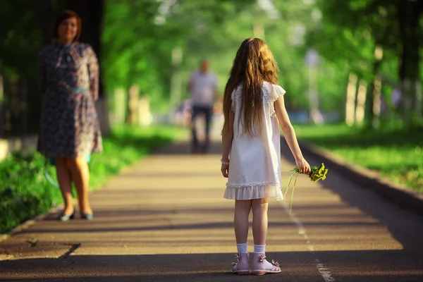 Girl collects flowers — Stockfoto