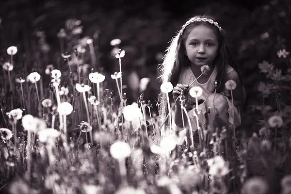 Liten flicka blåser maskros blomma — Stockfoto