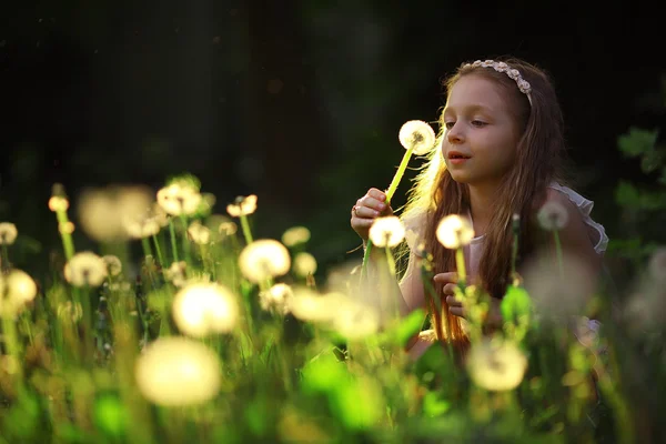 Liten flicka blåser maskros blomma — Stockfoto