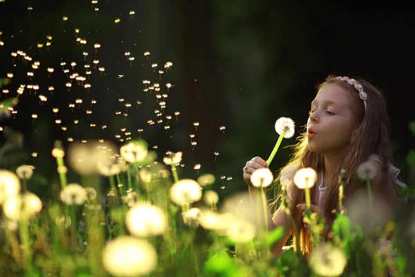 Маленька дівчинка дме квітка кульбаби — стокове фото