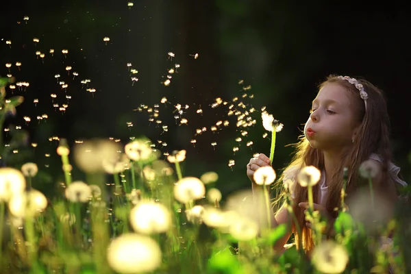 Маленька дівчинка дме квітка кульбаби — стокове фото
