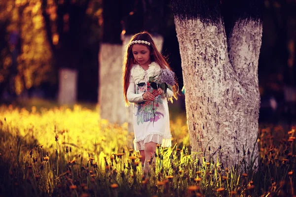 Menina coleta flores no parque ensolarado — Fotografia de Stock