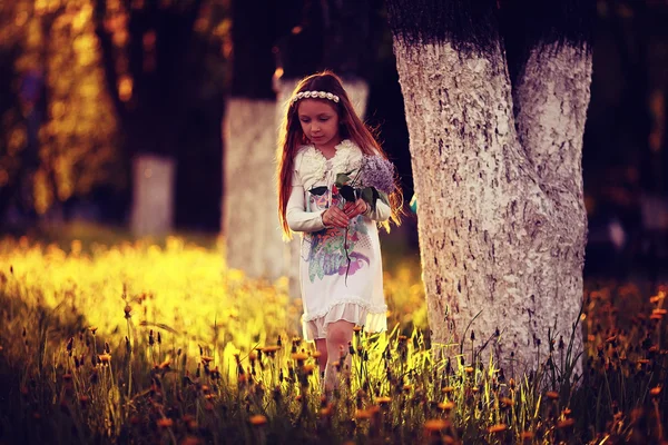 Ragazza raccoglie fiori nel parco soleggiato — Foto Stock