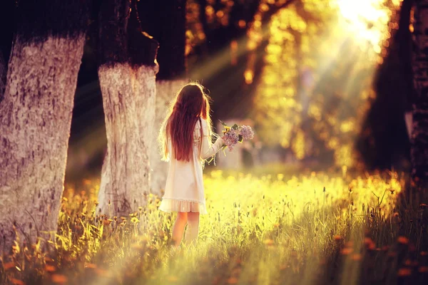 Дівчина збирає квіти в сонячному парку — стокове фото