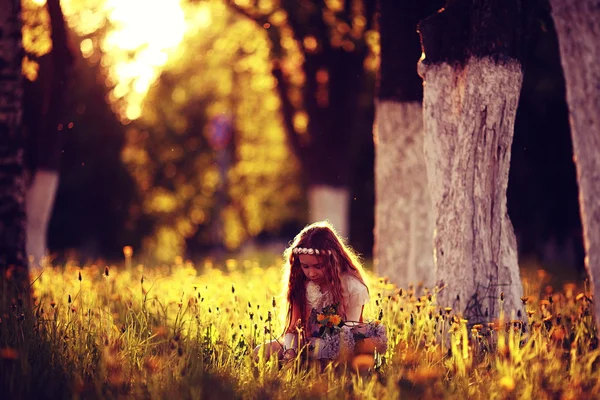 Κορίτσι συλλέγει άνθη σε ηλιόλουστο πάρκο — Φωτογραφία Αρχείου