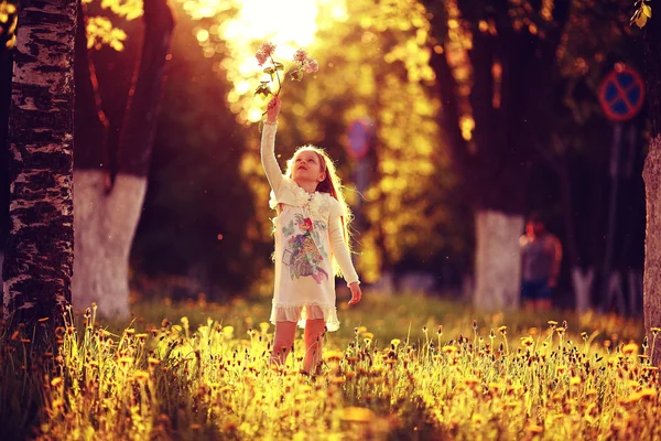 Девушка собирает цветы в солнечном парке — стоковое фото