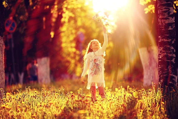 Menina coleta flores no parque ensolarado — Fotografia de Stock