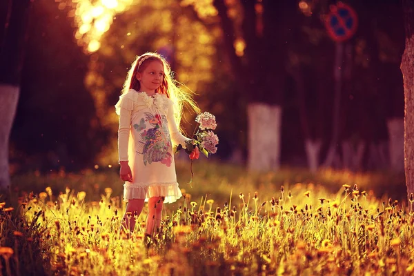 Flicka samlar in blommor i solig park — Stockfoto