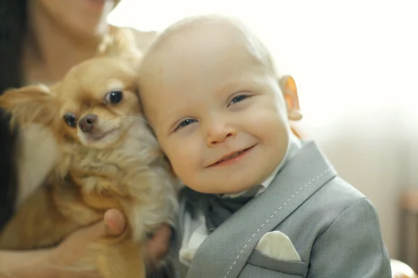Младенец и маленькая собачка — стоковое фото