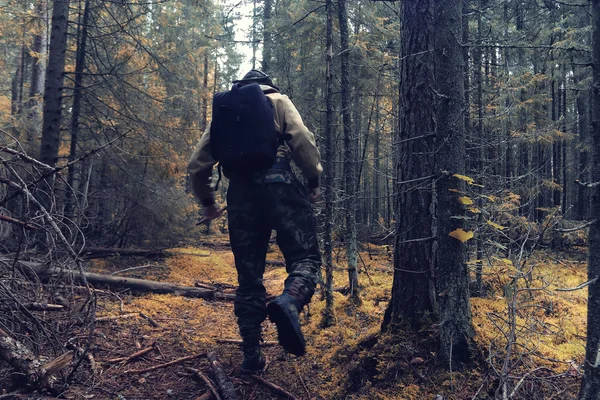Sonbahar ormanının Ranger — Stok fotoğraf