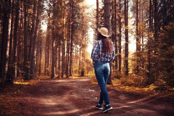 Queda floresta paisagem menina caminhada — Fotografia de Stock