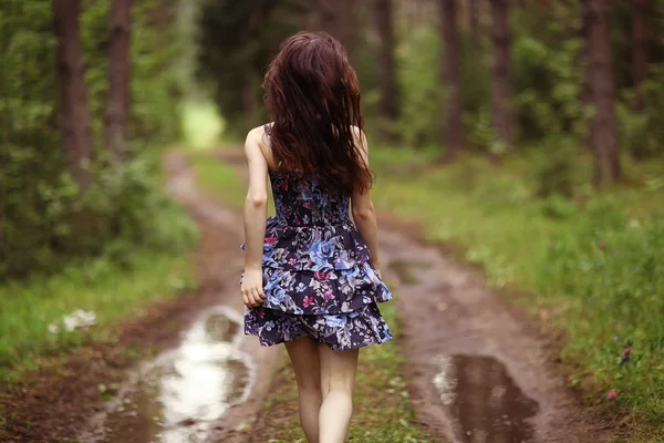 Fall forest landscape girl walk — Stock Photo, Image